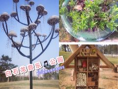 -白石龙音乐公园