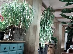 -春暖花开(西溪店)