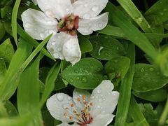 -唐城墙遗址公园