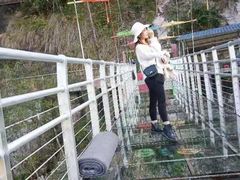 -九龙江国家森林公园