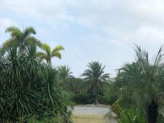 -厦门悦华酒店
