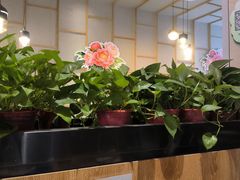 -洛阳宴·洛阳菜(南昌路店)