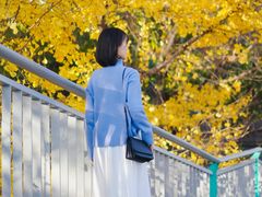-四川大学(望江校区)