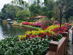 -晓港公园