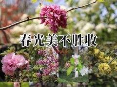 -杭州城北体育公园
