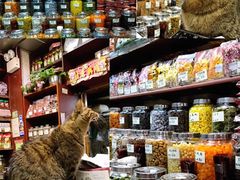 -么凤(波斯富街店)