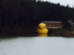 -北纬44度·金珠花海休闲农业旅游景区