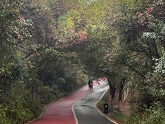 -艾溪湖湿地公园