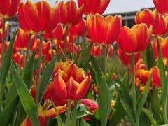 -中国计量大学(西校区)