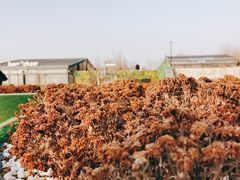 -莫子山公园