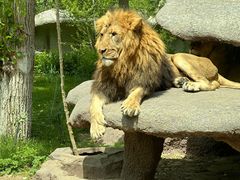 -北京野生动物园