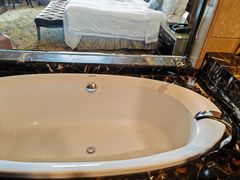 -上海浦东星河湾酒店