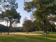 -新洲生态园