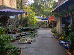 -桂林市花鸟市场