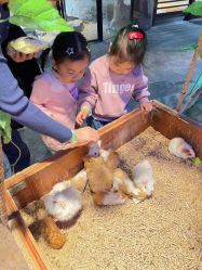 -酷嗒动物文化乐园(cutezoo西溪乐天城店)