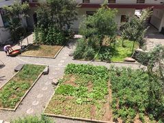 -柞水乾佑红门家菜