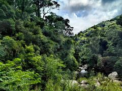 -海南热带雨林国家公园吊罗山景区