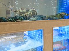 水产区-皇朝尊会(龙之梦大酒店)