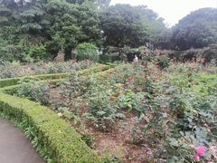-南山植物园