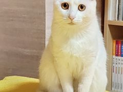 -纳吉亚猫专科动物医院博雅分院