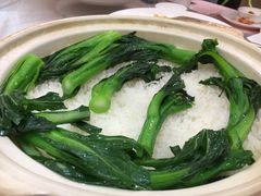 -东方御宴海鲜酒楼(棕泉酒店)