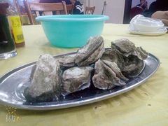 -土蚝·高压锅生蚝(百姓美食街店)