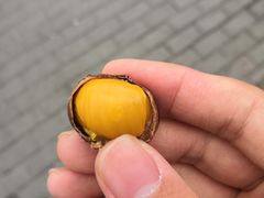 -秋栗香(地安门店)