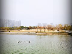-白塘生态植物园