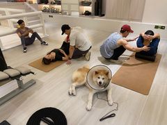 -YCHL Studios健身工作室(市二宫店)