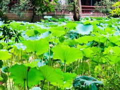 -成都武侯祠博物馆