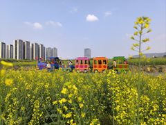 -光明小镇欢乐田园