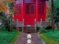 -西安碑林博物馆