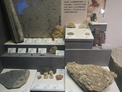 -贵州省地质博物馆