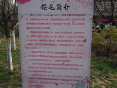 -西安青龙寺遗址景区