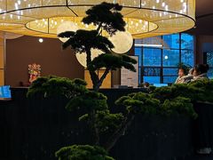 -椿杨樘·明康泡浴养生馆(重庆店)