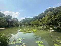 -云溪植物园