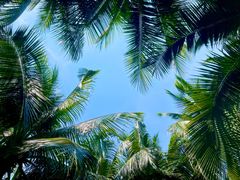 -三亚湾海居铂尔曼度假酒店