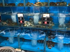 水产区-苏大嘴海鲜牧场(奥林匹克店)