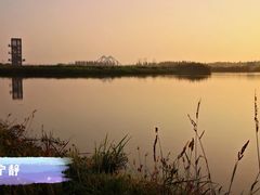 -春花秋色城市公园