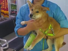 -宠颐生中康贝怡动物医院