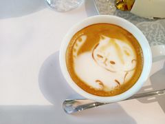 -喵屿·大理花园猫咖