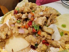 -丁老爷子苏香圆