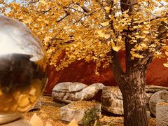 -北京石刻艺术博物馆(五塔寺)