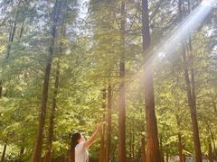 -广州市帽峰山景区