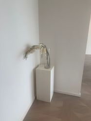 -七岛美学
