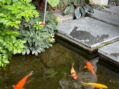 -漫笙舍Manse·咖啡·民宿