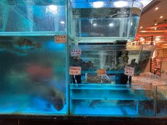 水产区-真味鲜厨(观塘店)