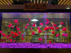 -御池园(顾村公园店)