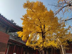 -承恩寺
