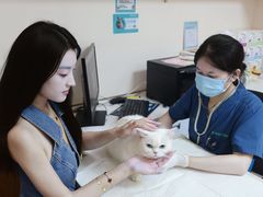 -瑞派中心宠物医院·CT·核磁·神经专科